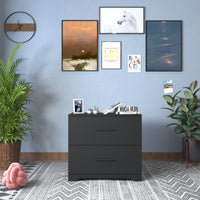 2 Drawer Lateral Filing Cabinet for Home Office Storage Black Metal File Organizer