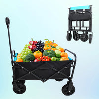 Mini Folding Wagon for Garden, Shopping, and Beach – Compact Collapsible Cart (Black & Blue)