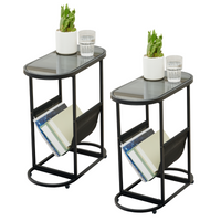 Glass Oval Small Side Tables for Living Room Set of 2 with Magazine Organizer and Storage Space Ideal for Small Spaces