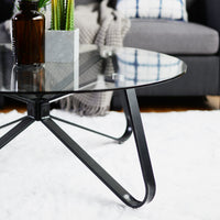 Round Coffee Table 31.5 Inch Modern Tempered Glass Top Metal Legs Accent Side End Table Black