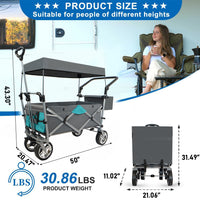 Utility Folding Wagon with Removable Canopy